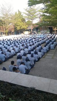 WhatsApp Image 2026-10-12 at 08.45.11